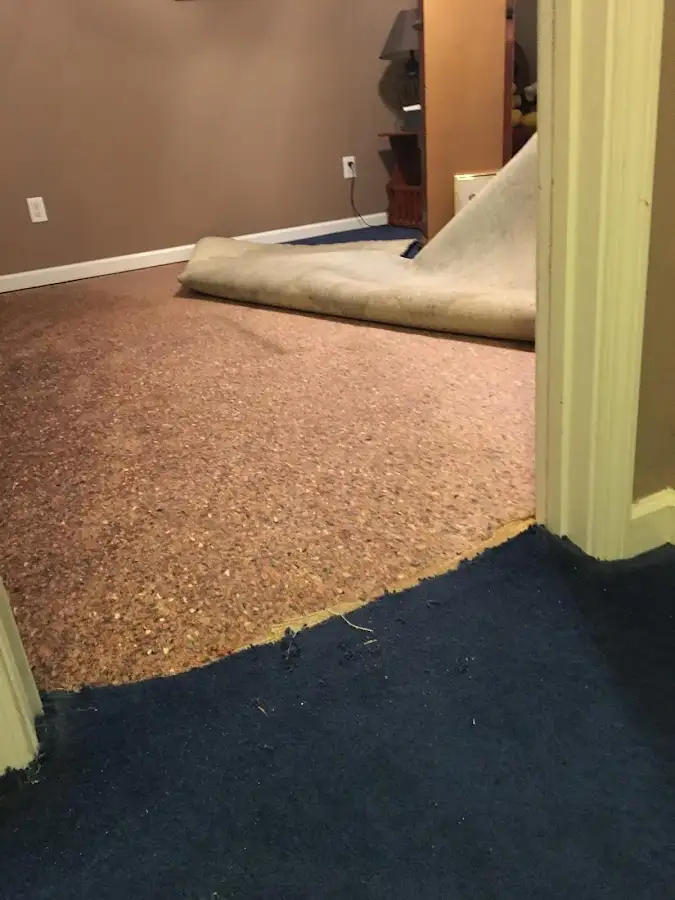 Carpet pad removal revealing water damage during Drying & Dehumidification in East Greenwich